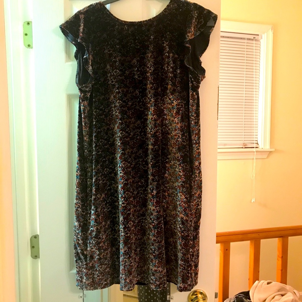 LOFT Floral Velvet Ruffle Sleeve Shift Dress